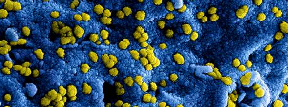 Coronavirus Image